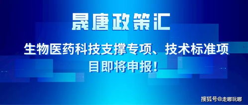 晟唐孵化器 生物醫(yī)藥科技支撐專項(xiàng) 技術(shù)標(biāo)準(zhǔn)項(xiàng)目即將申報