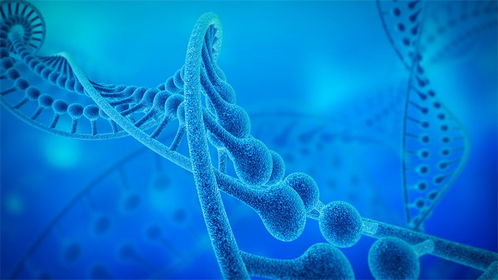 生葆生物首輪融資成功，加速溶瘤細(xì)菌管線(xiàn)臨床試驗(yàn)進(jìn)程
