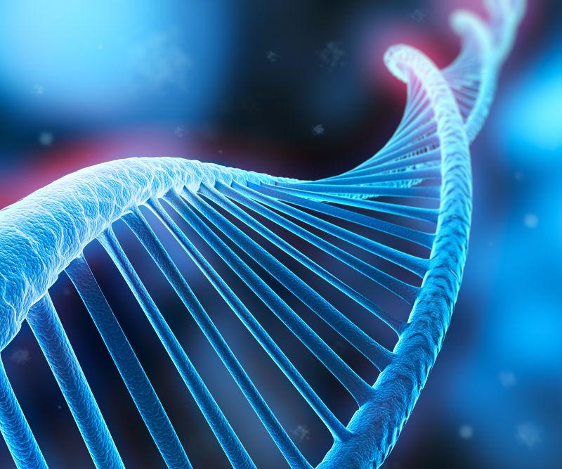 三維DNA構造 開啟生物科技新紀元
