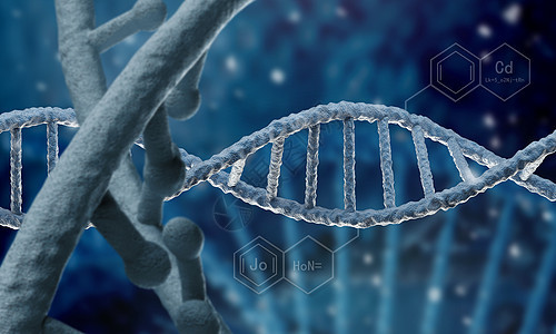 DNA分子 高科技時代的生物化學基石與生物科技的變革力量